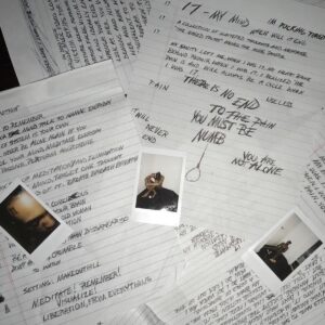 Xxxtentacion  17  (BLACK & WHITE SWIRL)  (LP)
