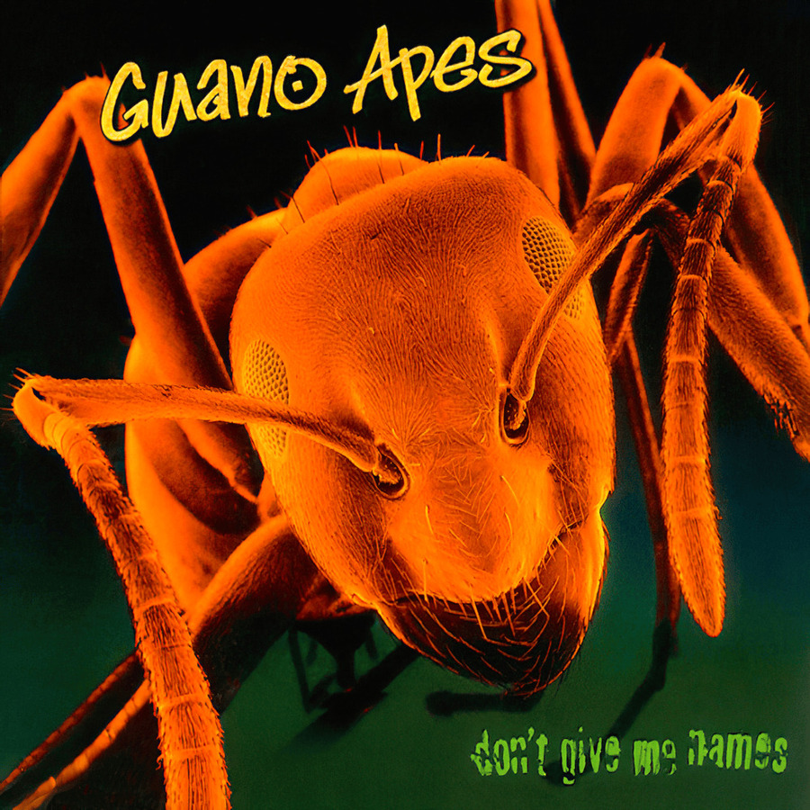 Guano Apes Don't Give Me Names (1LP)