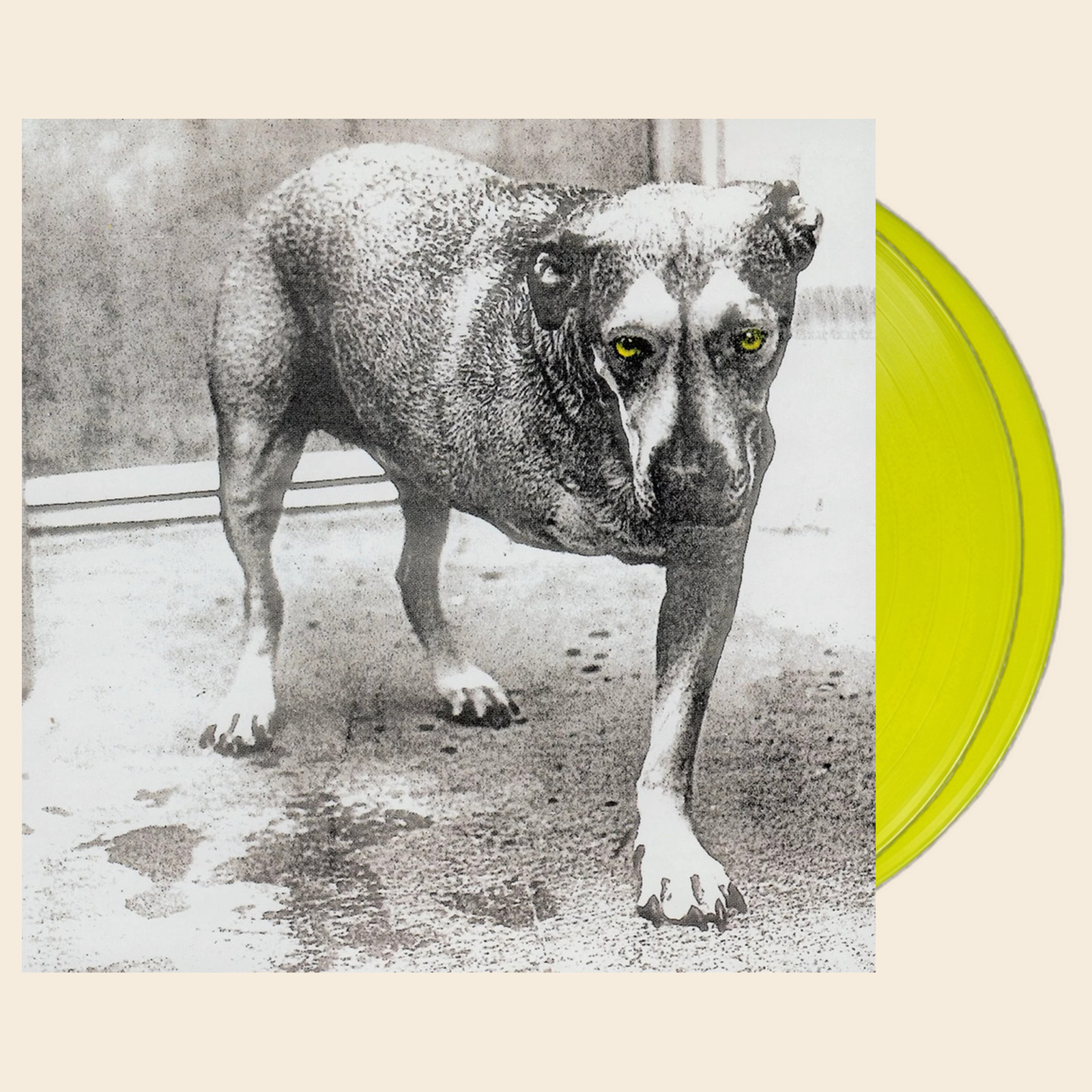Alice In Chains Alice In Chains (30th Anniversary) (Highlighter Yellow) (2LP)