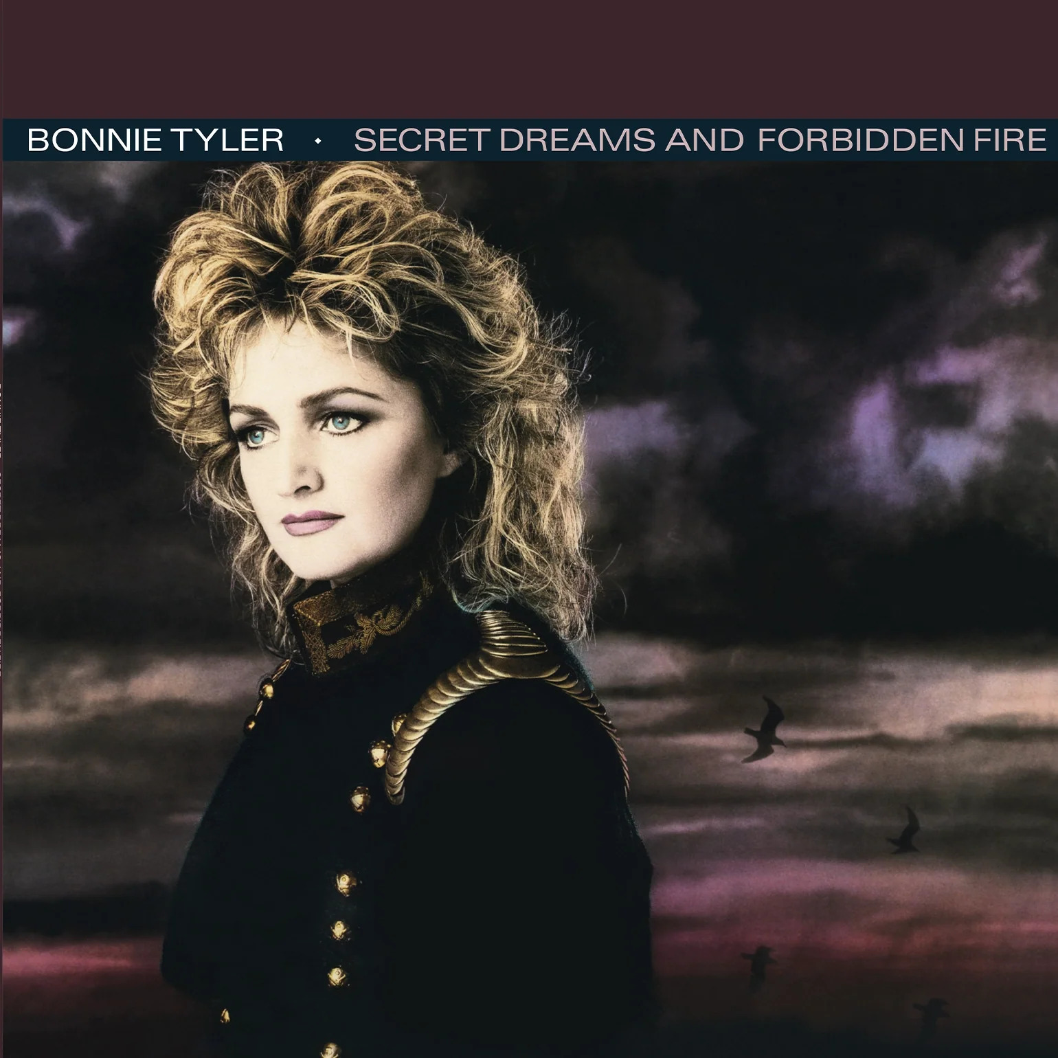 Bonnie Tyler Secret Dreams And Forbidden Fire (Clear/Black Marble Vinyl) (1LP)