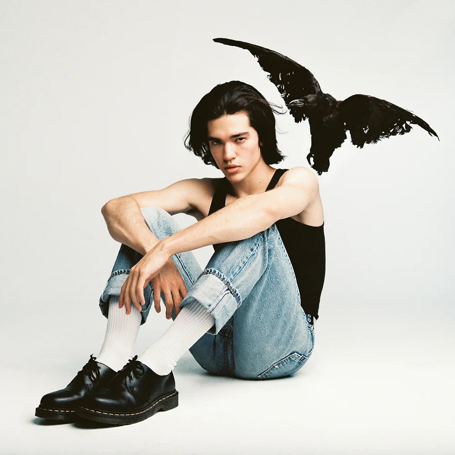 Conan Gray Kid Krow (1LP) — изображение 2